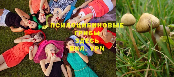 трава Абдулино
